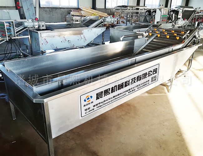 蒜苗噴淋清洗機(jī)價格